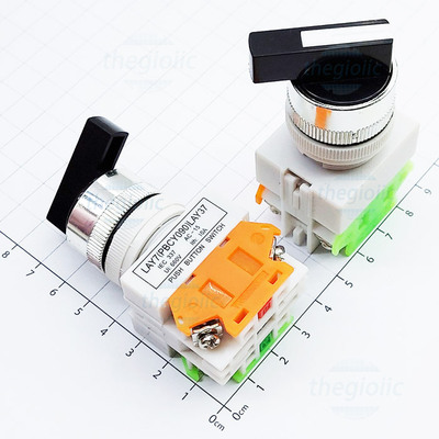 LAY37-20X2 Công Tắc Xoay Giữ 2 Vị Trí 1NO 1NC 10A 660V