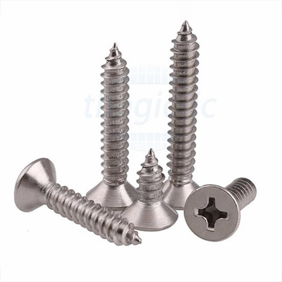 Vít Nhọn KA M4.8 x 40mm 304